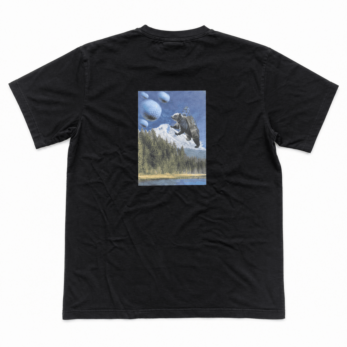 BEAR MOUNTAIN T-SHIRT - Inland Grove