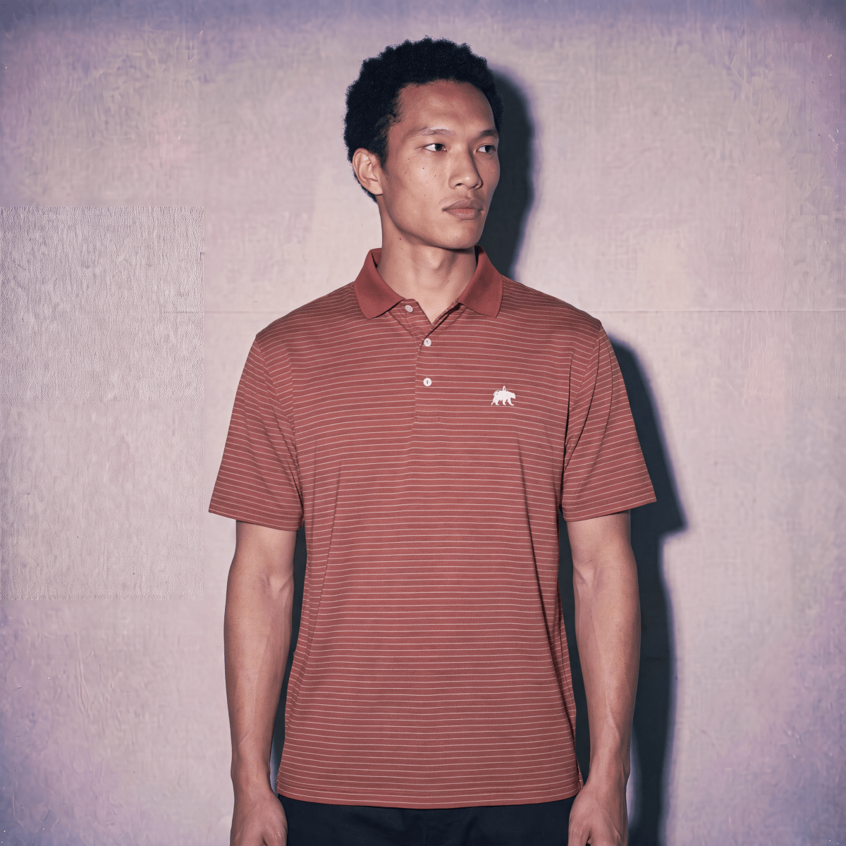 GOLD RIDGES BUTTON POLO - Inland Grove